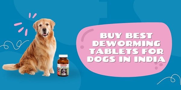 Best Deworming Tablets for Dogs in India