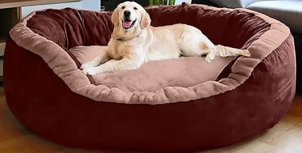 Best Dog Beds in India