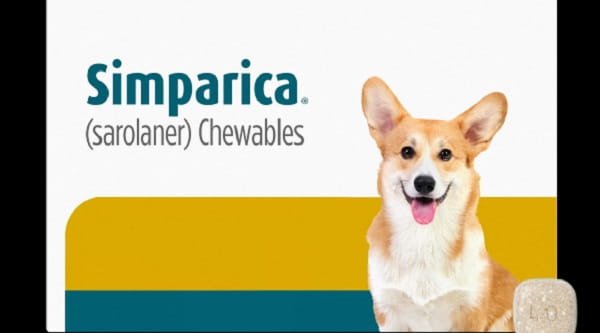 Simparica for Dogs