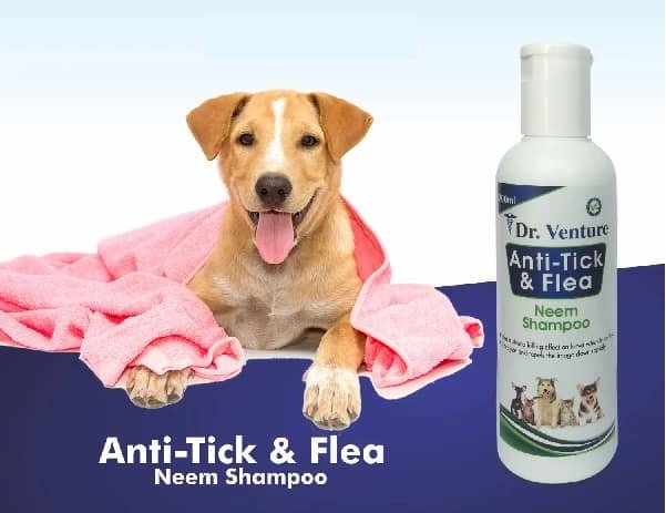 Tick Shampoo